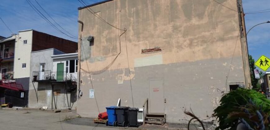 Rue Panet Montréal (Ville-Marie), Québec H2L1R9