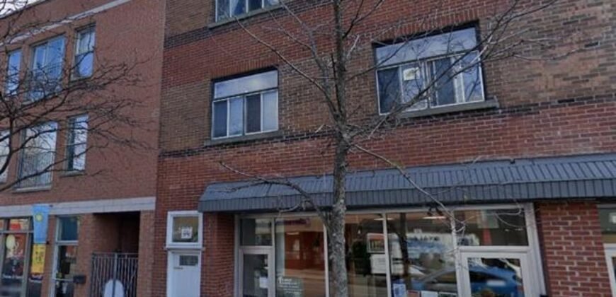 1294-1296 Rue Ontario E. Montréal (Ville-Marie), Québec H2L1R6