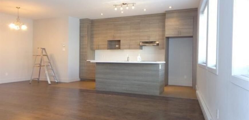 1294-1296 Rue Ontario E. Montréal (Ville-Marie), Québec H2L1R6