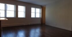 1294-1296 Rue Ontario E. Montréal (Ville-Marie), Québec H2L1R6