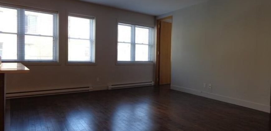 1294-1296 Rue Ontario E. Montréal (Ville-Marie), Québec H2L1R6