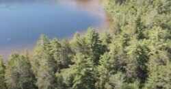 Ch. du Lac Memewin Les Lacs-du-Témiscamingue, Québec H4W1G8