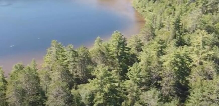 Ch. du Lac Memewin Les Lacs-du-Témiscamingue, Québec H4W1G8