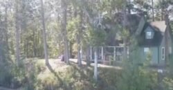 Ch. du Lac Memewin Les Lacs-du-Témiscamingue, Québec H4W1G8