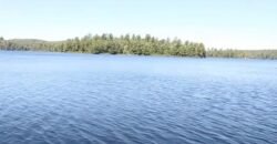 Ch. du Lac Memewin Les Lacs-du-Témiscamingue, Québec H4W1G8