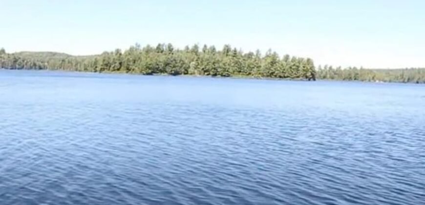 Ch. du Lac Memewin Les Lacs-du-Témiscamingue, Québec H4W1G8