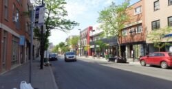 Rue Panet Montréal (Ville-Marie), Quebec H2L1R9