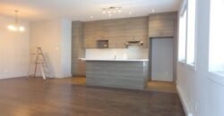 1344 Rue Ontario E. #A+B Montréal (Ville-Marie), Quebec H2L3C6